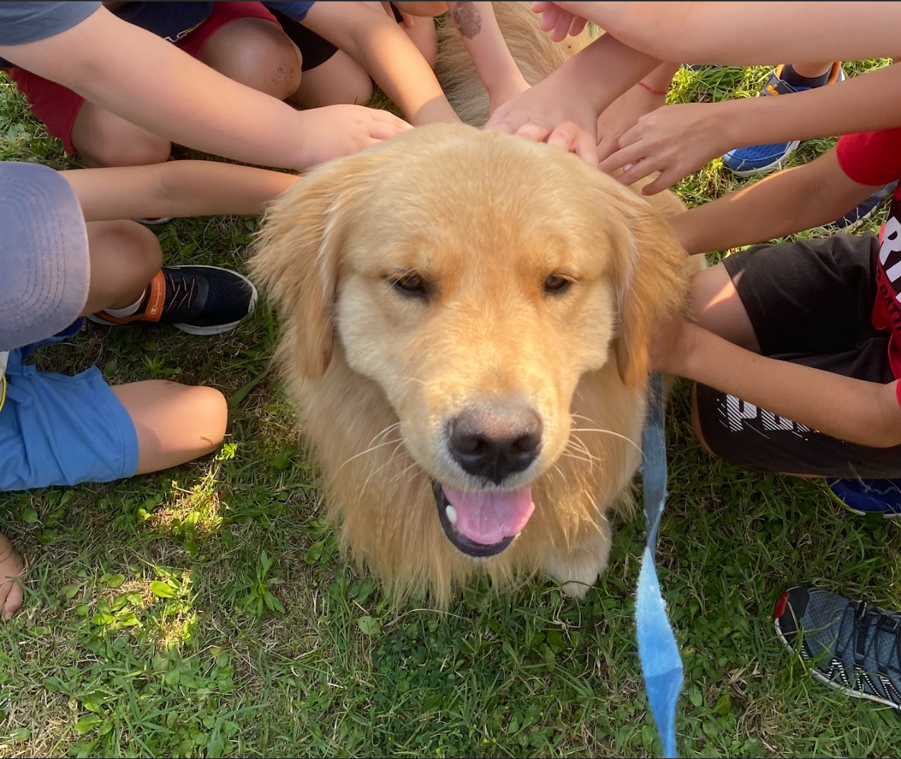 bambini_pet_therapy